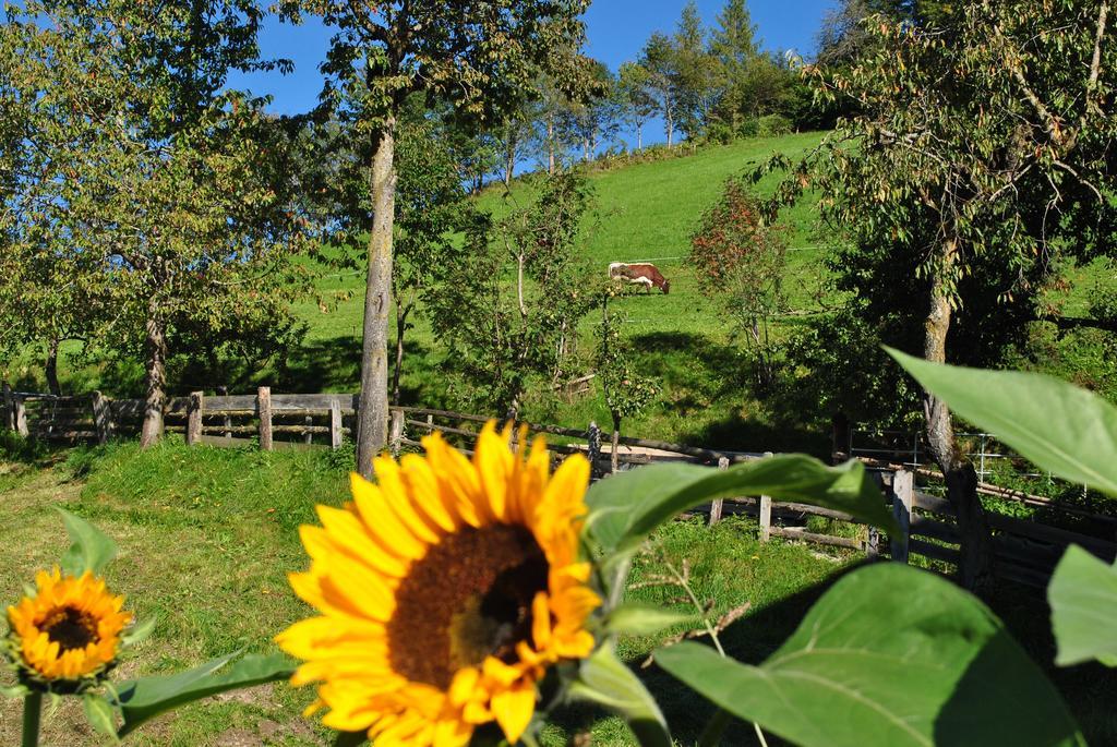 Villa Bio-Bergbauernhof Hubgut Zell am See Exterior foto