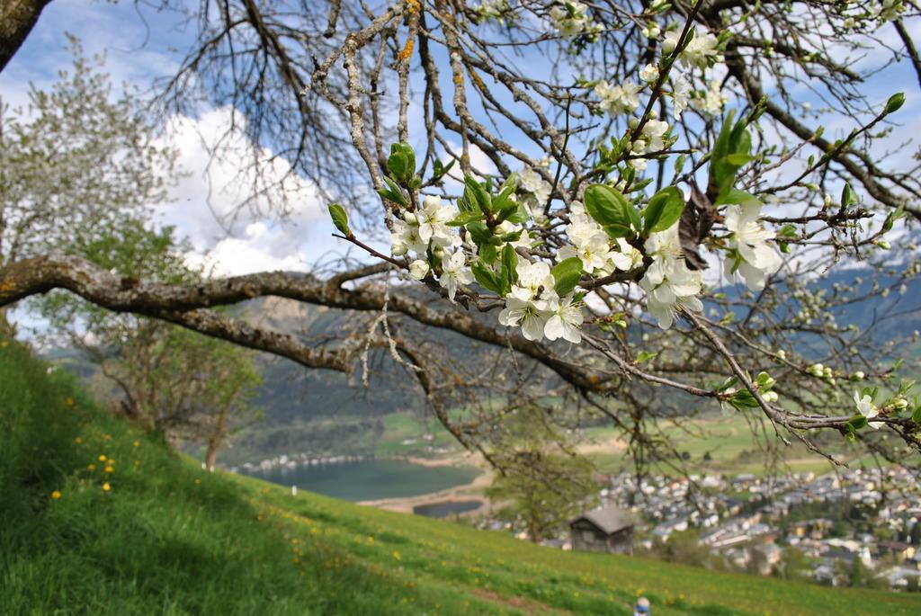 Villa Bio-Bergbauernhof Hubgut Zell am See Exterior foto
