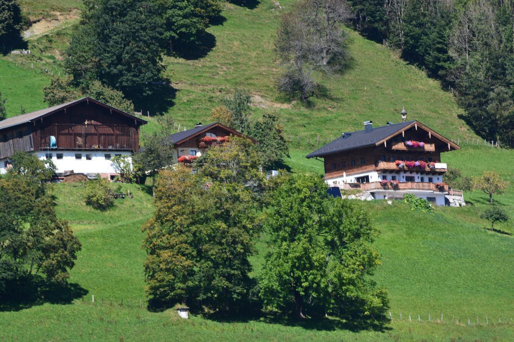 Villa Bio-Bergbauernhof Hubgut Zell am See Exterior foto